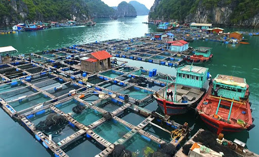 Ảnh minh họa. Nguồn: internet