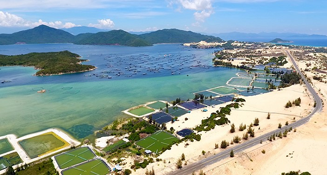 Ảnh minh họa. Nguồn: internet