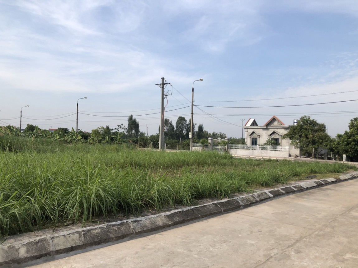 Ảnh minh hoạ. Nguồn: internet