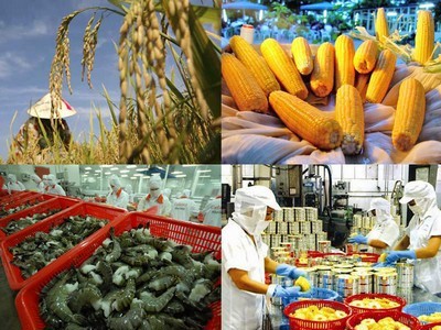 Vẫn còn 27 tỉnh, thành chưa phê duyệt đề án tái cơ cấu nông nghiệp. Nguồn: internet