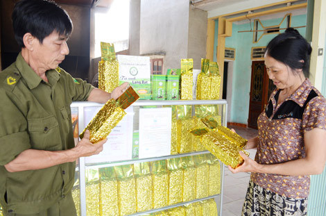Sản phẩm chè sản xuất theo tiêu chuẩn VietGAP của gia đình ông Phạm Văn Luận xã Tân Thành (Hàm Yên).