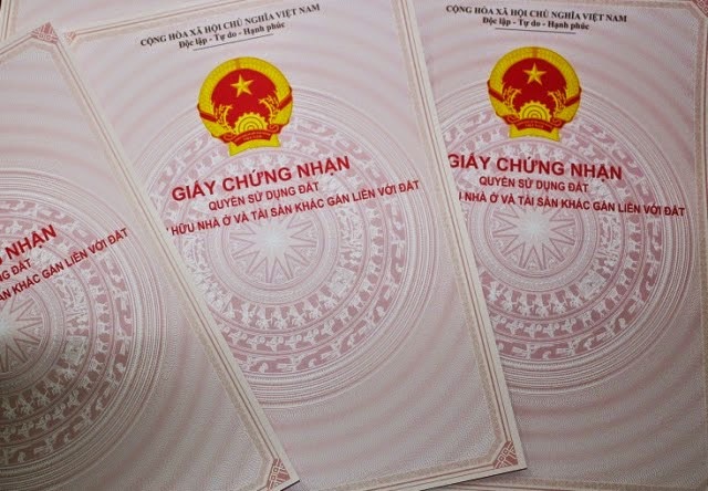 Ảnh minh họa. Nguồn: internet