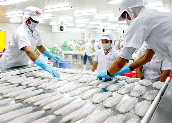 Ảnh minh họa. Nguồn: internet
