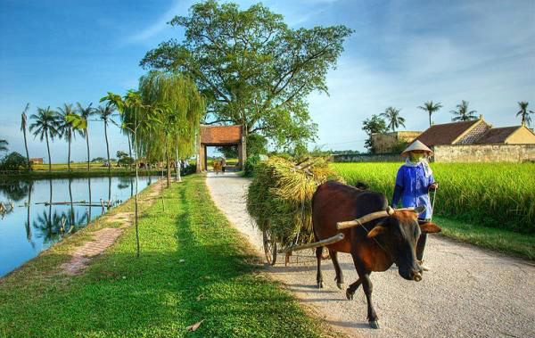 Ảnh minh họa. Nguồn: internet