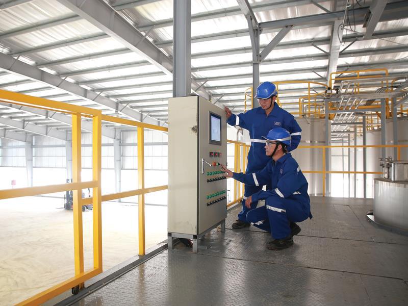 Nhà máy sản xuất hóa chất của Tập đoàn BASF (Đức) tại Việt Nam. Nguồn: internet
