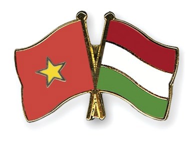 Việt Nam đổi chiều từ thâm hụt sang xuất siêu với Hungary. Nguồn: internet