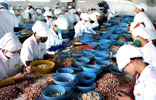 Xuất khẩu nông lâm thủy sản đạt được con số ấn tượng nhưng vẫn phụ thuộc nhiều vào thị trường Trung Quốc. Nguồn: internet