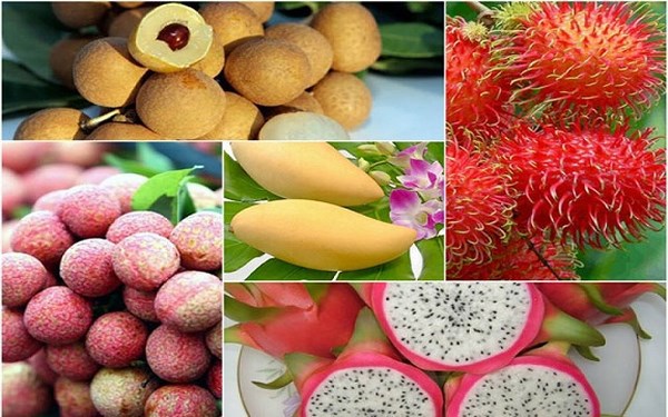 Truy xuất nguồn gốc là việc làm bình thường, thường xuyên của Bắc Giang. Nguồn: internet