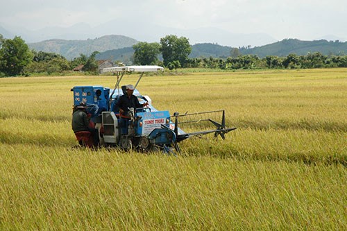 Tạo điều kiện thuận lợi cho các doanh nghiệp đã, đang, hoặc nên đầu tư mạnh dạn và gia tăng hơn vào nông nghiệp. Nguồn: internet