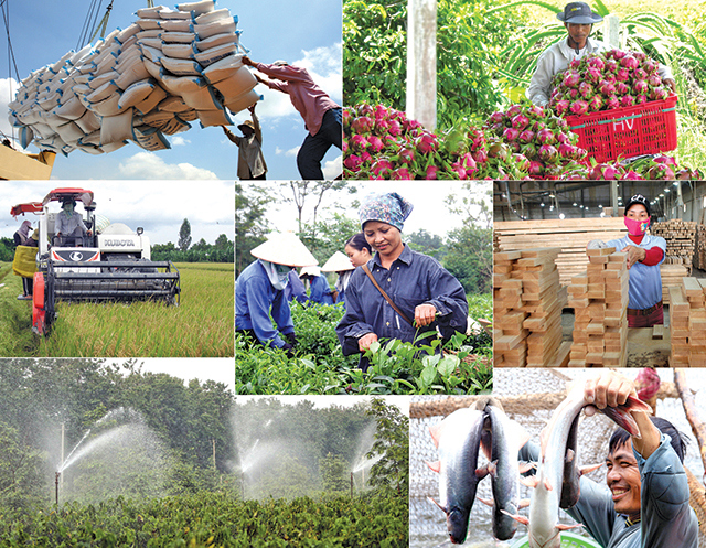 Kết quả sản xuất ngành nông nghiệp 6 tháng đầu năm 2018 cho thấy bức tranh hết sức khả quan của toàn ngành. Nguồn: internet