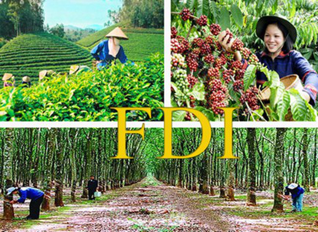 Vốn đầu tư trực tiếp nước ngoài (FDI) có vai trò rất quan trọng, nhất là bổ sung nguồn vốn cho phát triển nông nghiệp và nông thôn. Nguồn: internet