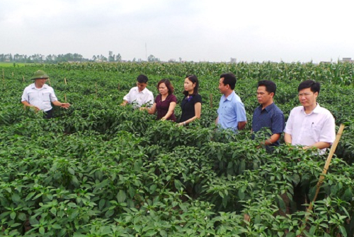 Tăng mức cho vay đối với cá nhân, hộ gia đình, tổ hợp tác, hộ kinh doanh, hợp tác xã, liên hiệp hợp tác xã và chủ trang trại khi không có tài sản bảo đảm. Nguồn: internet