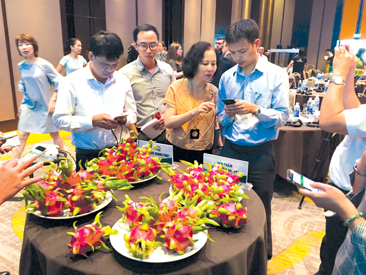 Sử dụng công nghệ blockchain để truy xuất nguồn gốc trái thanh long. Nguồn: internet