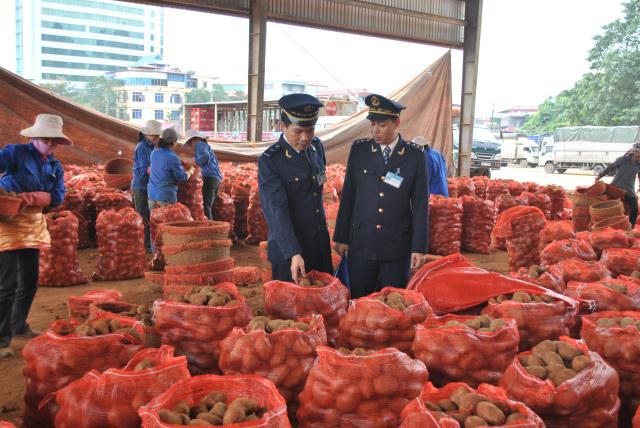Ảnh minh họa. Nguồn:Internet