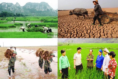 Ảnh minh họa. Nguồn: internet