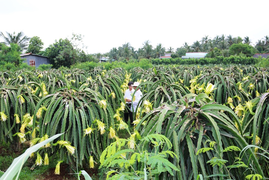 Agribank luôn tiên phong, nghiêm túc thực thi hiệu quả chính sách tiền tệ, khẳng định vai trò chủ lực trong phát triển "Tam nông". Ảnh: Agribank.