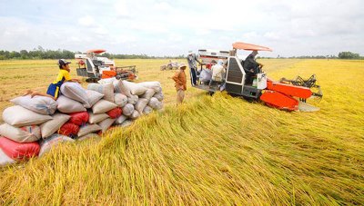 Agribank cùng ngành Ngân hàng thực hiện nhiều giải pháp tháo gỡ khó khăn trong sản xuất nông nghiệp