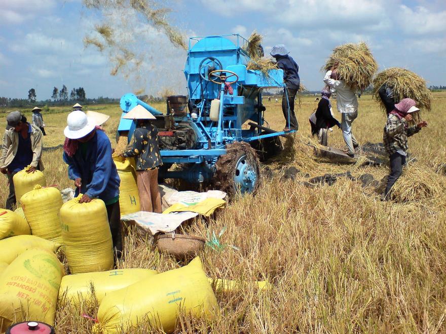 Agribank tích cực, chủ động, kịp thời triển khai nhiều giải pháp hỗ trợ khách hàng, doanh nghiệp, trở thành điểm tựa vững chắc cho doanh nghiệp, doanh nhân.