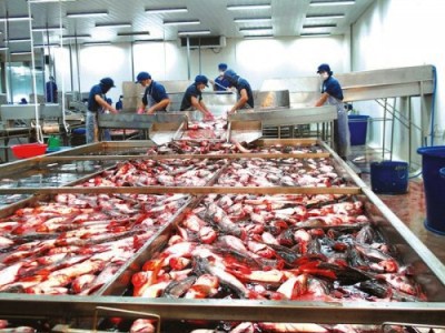 Chính sách phát triển nông nghiệp được triển khai tốt nên đời sống nông dân dần được cải thiện.