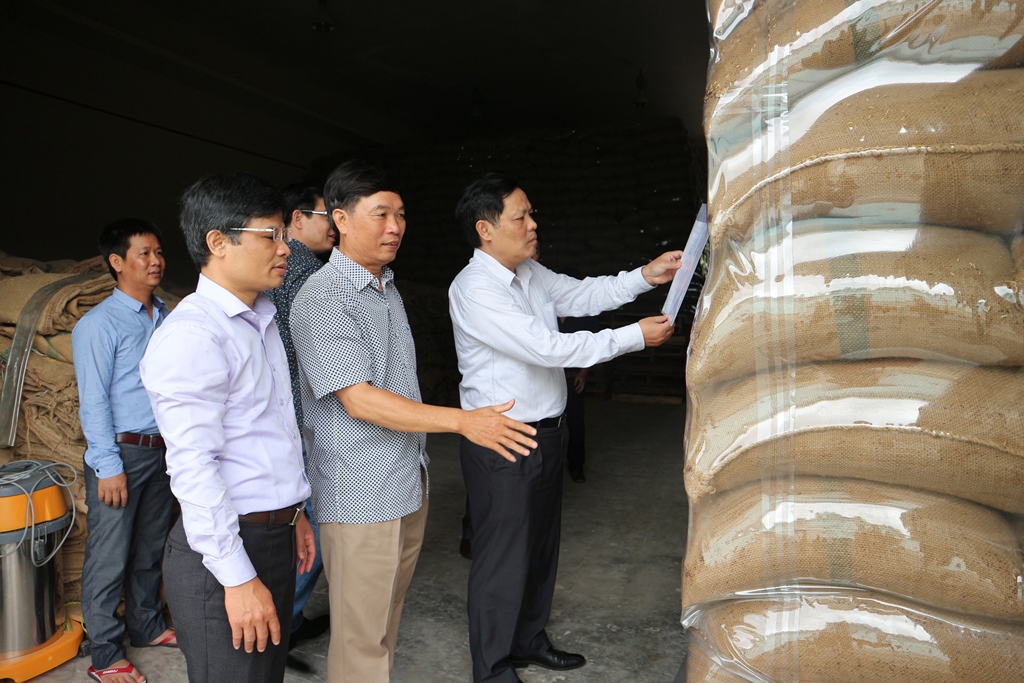 Quyền Tổng cục trưởng Tổng cục DTNN Đỗ Việt Đức (thứ nhất từ phải sang) tham quan kho dự trữ hàng dự trữ quốc gia nhân dịp tới thăm và làm việc tại Cục DTNN Khu vực TP. Hồ Chí Minh.