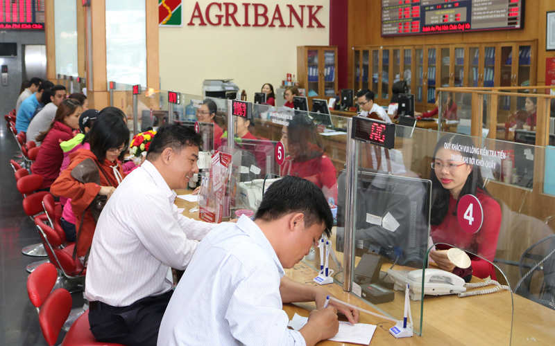 Agribank đã mở rộng hoạt động TCVM trên toàn quốc với hơn 3 triệu khách hàng cá nhân vay vốn, và hơn 5 triệu khách hàng gửi tiết kiệm.