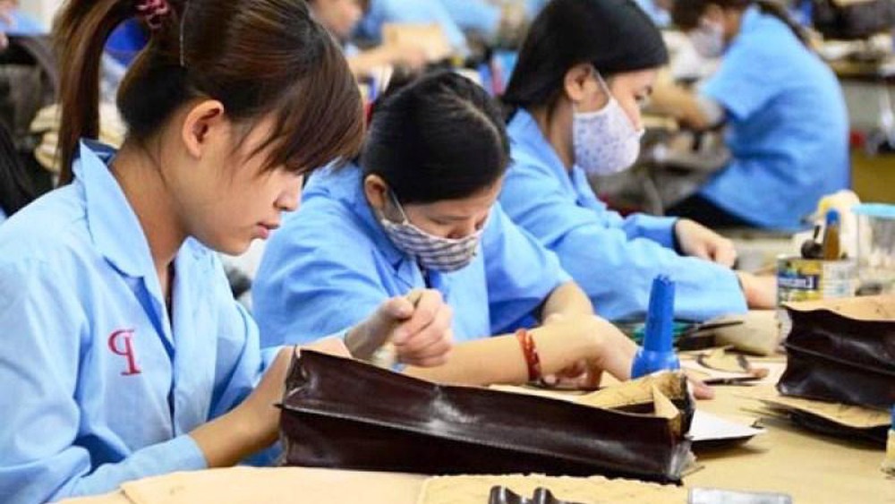Hồ sơ kiến nghị khởi tố về tội gian lận BHXH, BHYT theo quy định tại Điều 214, Điều 215, Điều 216 Bộ luật Hình sự.