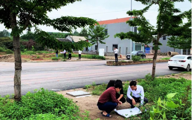 Loại hình đất nền chứng kiến cả mức độ quan tâm và lượng tin đăng bán tăng ở nhiều địa phương tăng cao. Ảnh minh họa.