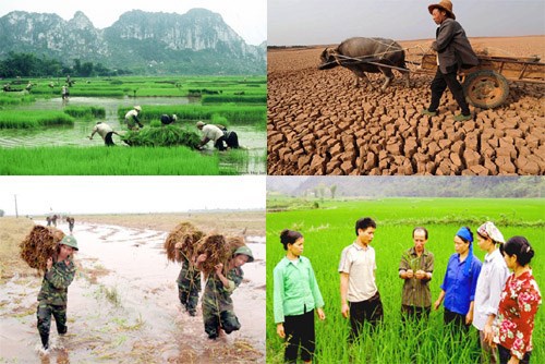 Ảnh minh họa. Nguồn: Internet