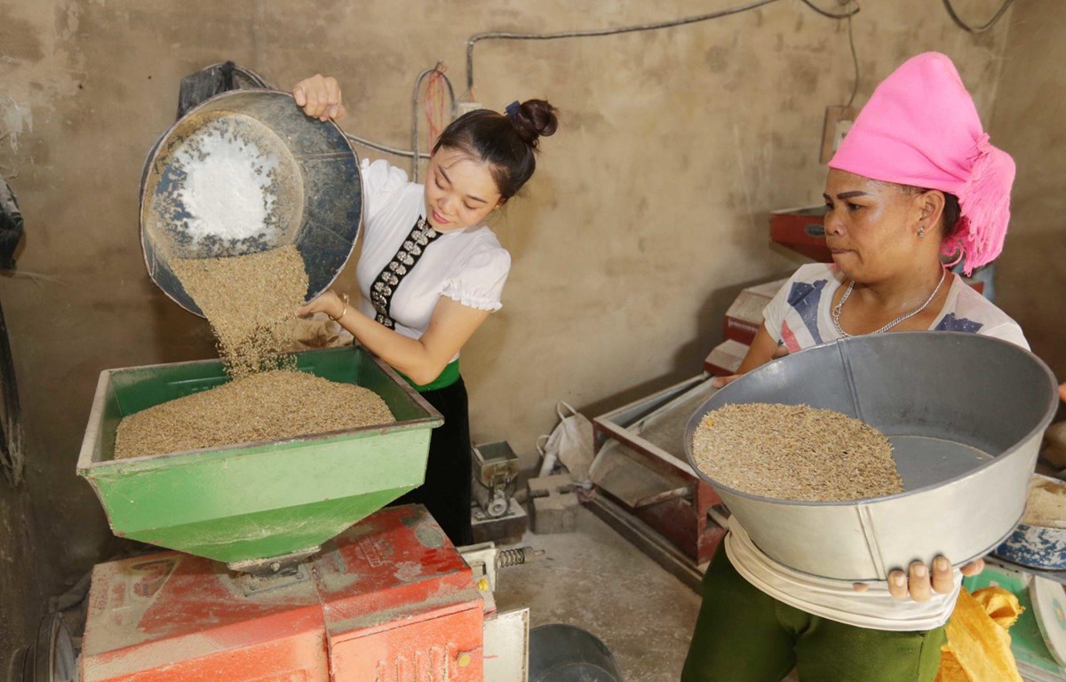 Ảnh minh họa. Nguồn: Internet