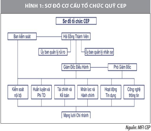 Nâng cao hiệu quả quản trị rủi ro tín dụng các tổ chức tài chính vi mô Việt Nam - Ảnh 1