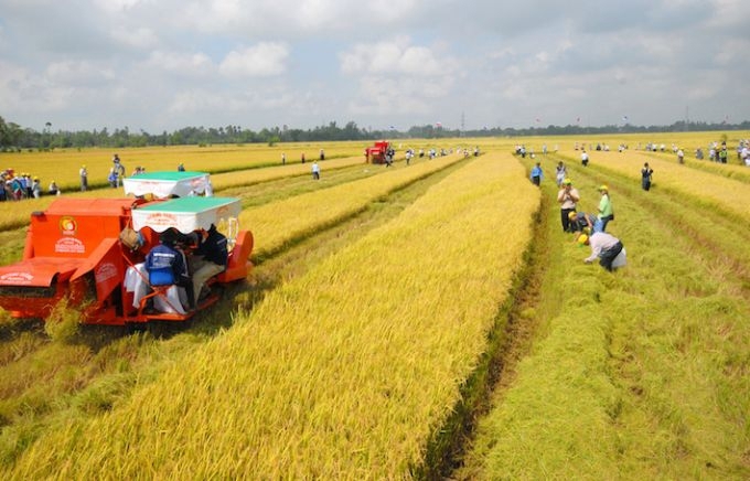 Ảnh minh họa. Nguồn: Internet