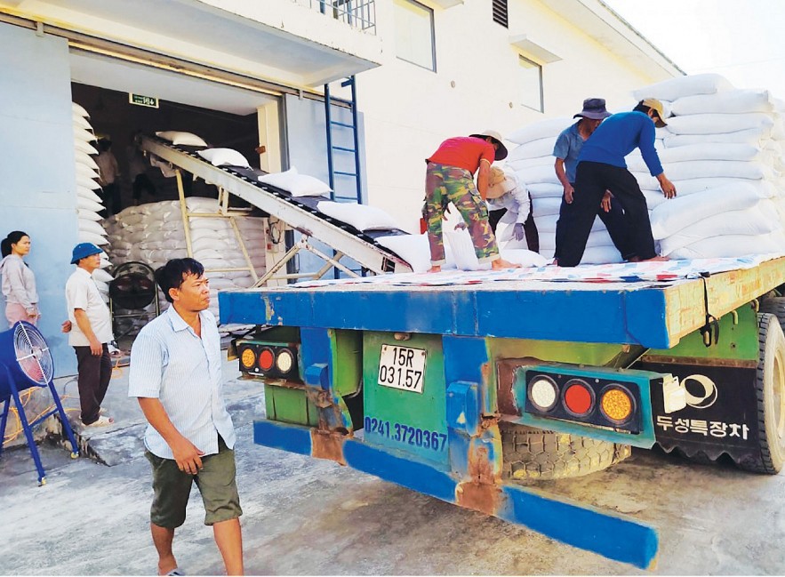 Tăng cường công tác quản lý chất lượng lương thực nhập kho dự trữ quốc gia năm 2022.