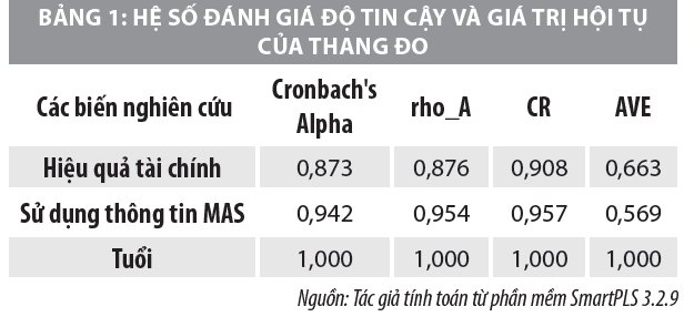 Yếu tố ảnh hưởng đến hành vi sử dụng thông tin kế toán quản trị và hiệu quả tài chính trong các doanh nghiệp Việt Nam - Ảnh 2