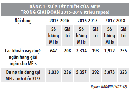 Sự phát triển các tổ chức tài chính vi mô tại Ấn Độ - Ảnh 1