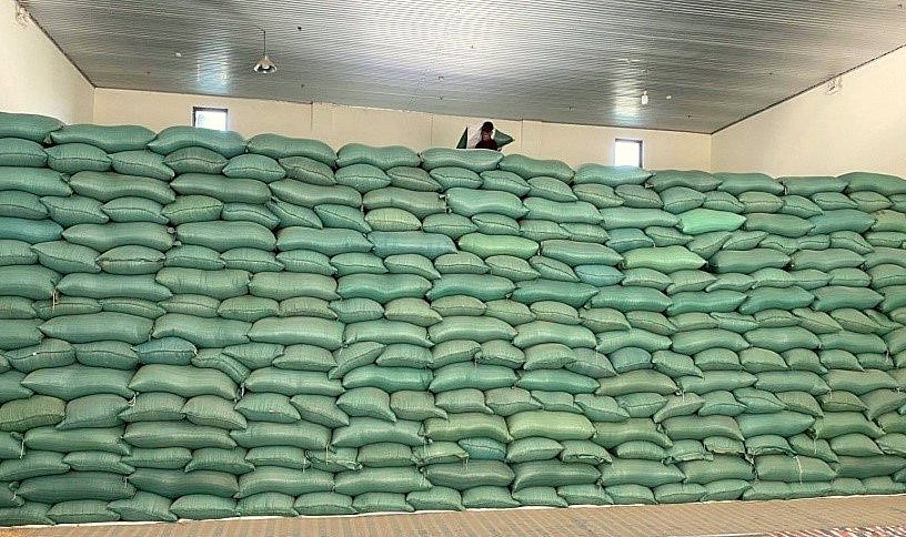 Các Cục DTNN khu vực căn cứ chỉ tiêu kế hoạch mua thóc được giao, rà soát tích lượng kho thực tế hiện có, bảo đảm điều kiện nhập kho thóc DTQG theo quy định của Quy chuẩn kỹ thuật quốc gia.