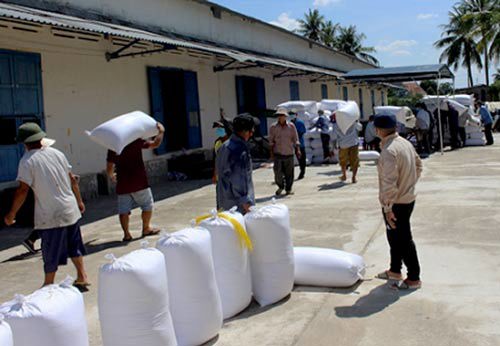 Dự kiến, trong tháng 7/2021, Tổng cục DTNN sẽ giao các Cục DTNN khu vực mua 29.500 tấn thóc, để bảo đảm hoàn thành mua đủ 80.000 tấn thóc theo kế hoạch năm 2021.