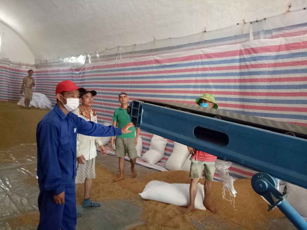 Thời hạn hoàn thành nhập thóc vào kho DTQG tối đa đến hết ngày 15/9/2022.