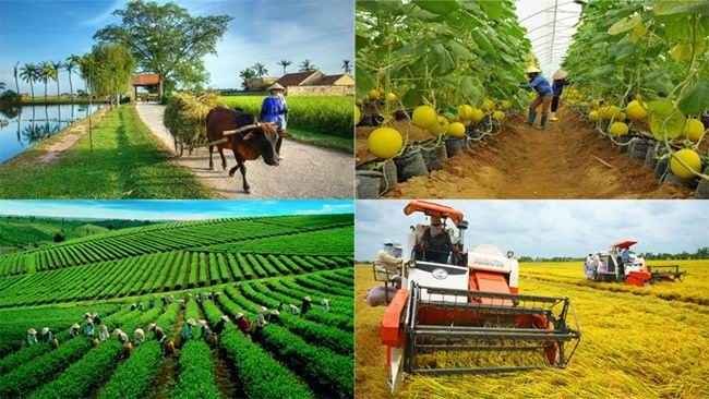 Ảnh minh họa. Nguồn: Internet