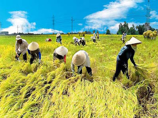 Ảnh minh họa. Nguồn: Internet