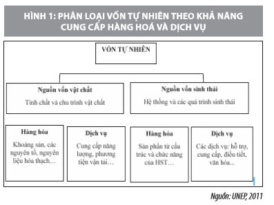 Giải pháp bảo tồn và sử dụng bền vững vốn tự nhiên ở Việt Nam - Ảnh 1