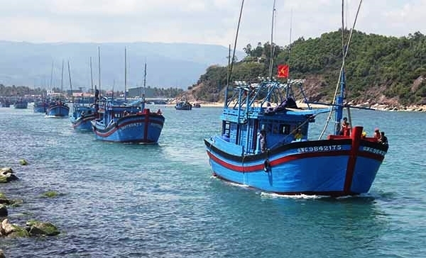 Ảnh minh họa. Nguồn: Internet