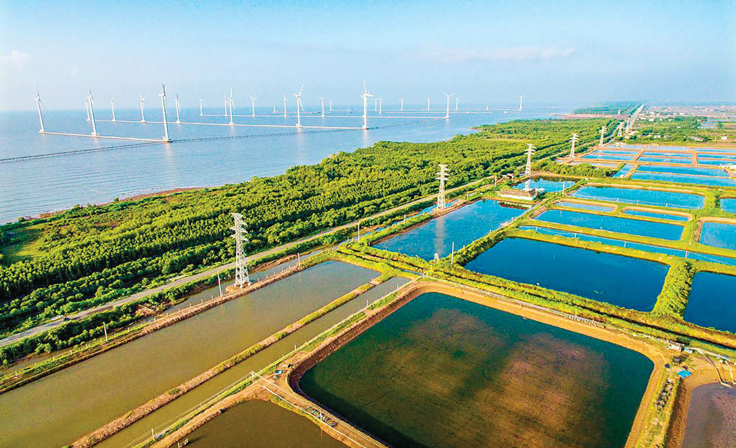 Lồng ghép các nội dung ứng phó với biến đổi khí hậu trong quy hoạch phát triển kinh tế - xã hội giai đoạn 2021-2030. Ảnh: SGGP