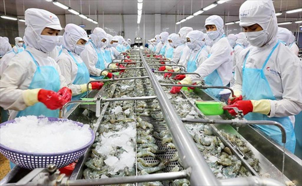 Thủy sản là mặt hàng có giá trị xuất khẩu cao nhất từ trước tới nay.