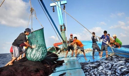 Ảnh minh họa. Nguồn: Internet