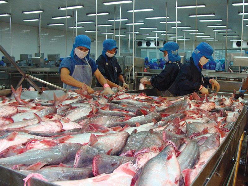 Ảnh minh họa. Nguồn: Internet