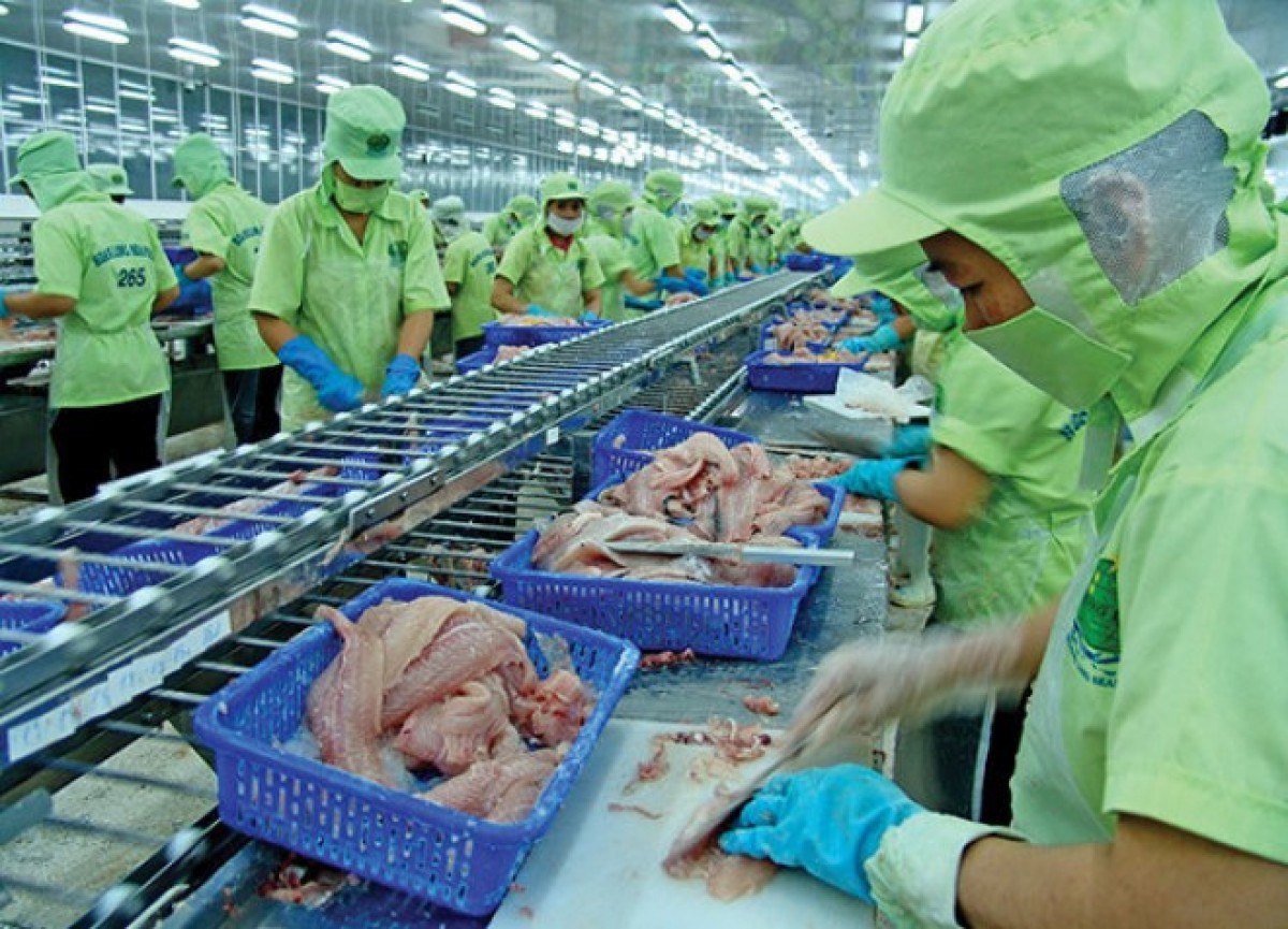 Ảnh minh họa. Nguồn: internet.