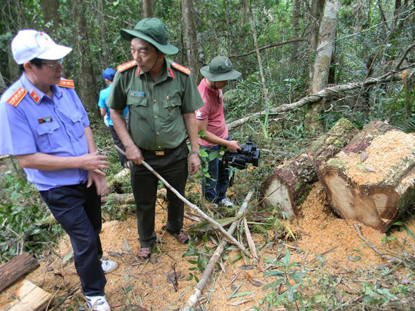 Ảnh minh họa. Nguồn: internet.
