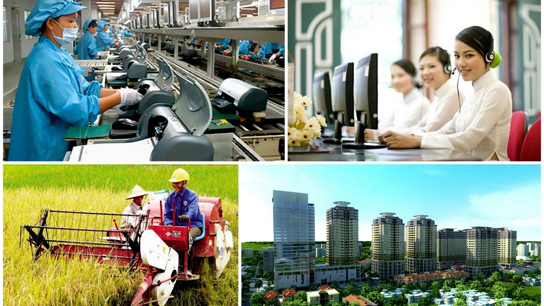 Ảnh minh họa. Nguồn: internet.