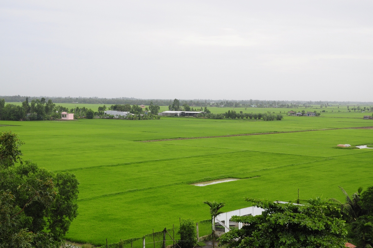 Ảnh minh họa. Nguồn: internet.