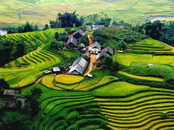 Ảnh minh họa. Nguồn: internet.